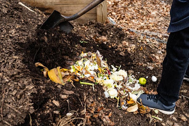 Biodegradable Options